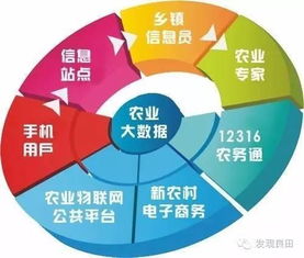 未來三年，中國農(nóng)業(yè)即將步入大數(shù)據(jù)時(shí)代